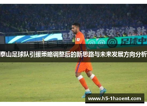 泰山足球队引援策略调整后的新思路与未来发展方向分析