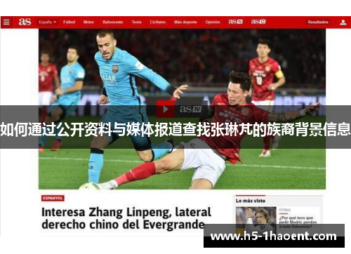 如何通过公开资料与媒体报道查找张琳芃的族裔背景信息