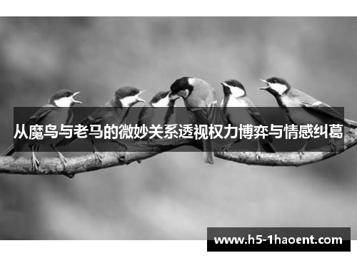 从魔鸟与老马的微妙关系透视权力博弈与情感纠葛