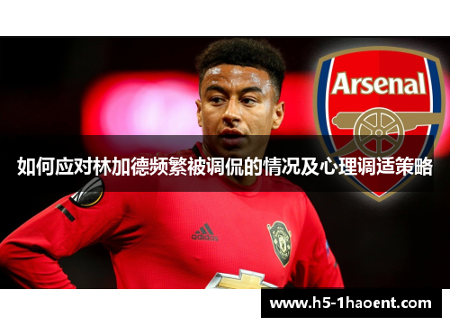 如何应对林加德频繁被调侃的情况及心理调适策略