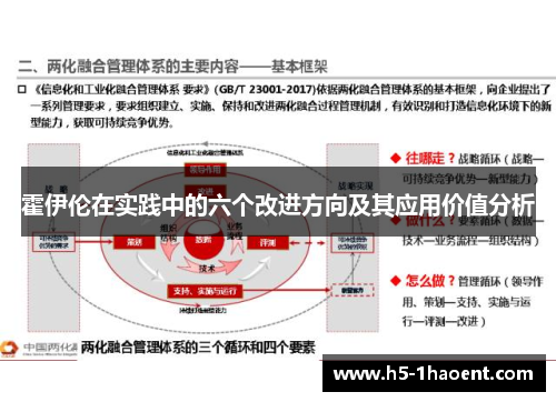 霍伊伦在实践中的六个改进方向及其应用价值分析